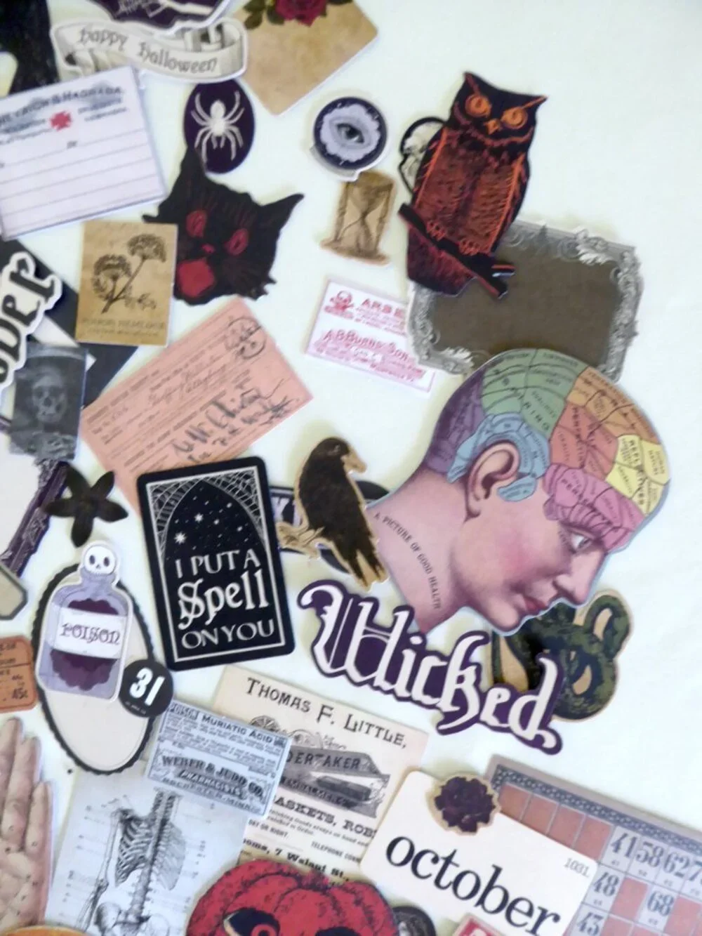 Tim Holtz new never
